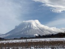 農業法人大山ワイナリー(株)