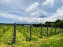 (株)富士山ワイナリー